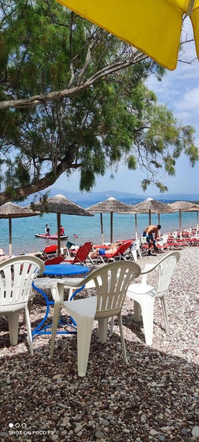 Koralli Beach Niforeika Buitenkant foto